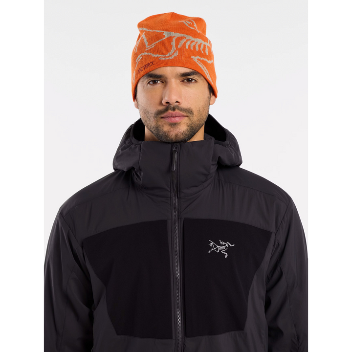 Practitioner AR Hoody - Men's